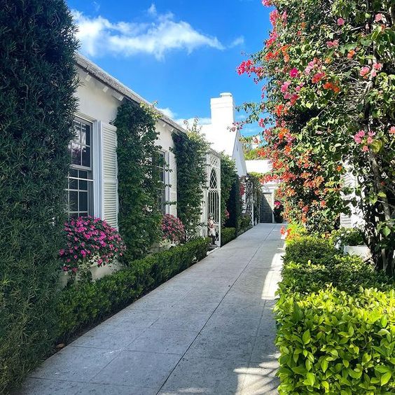 Projects for Beginners