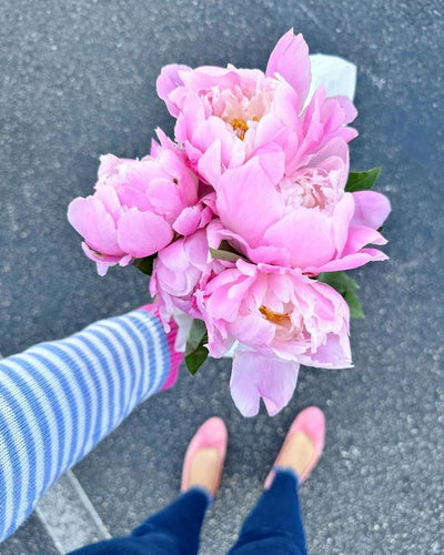 May Flowers Playlist