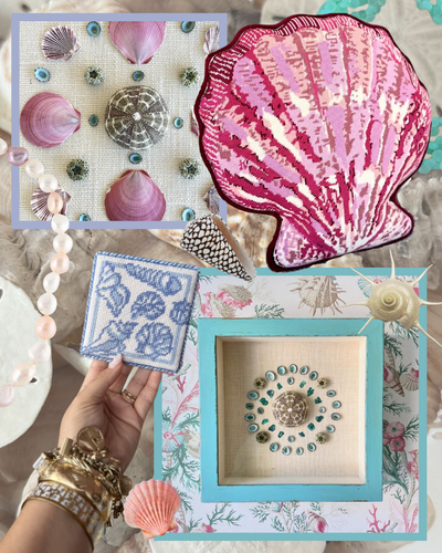 Lycette's Guide to Seashells